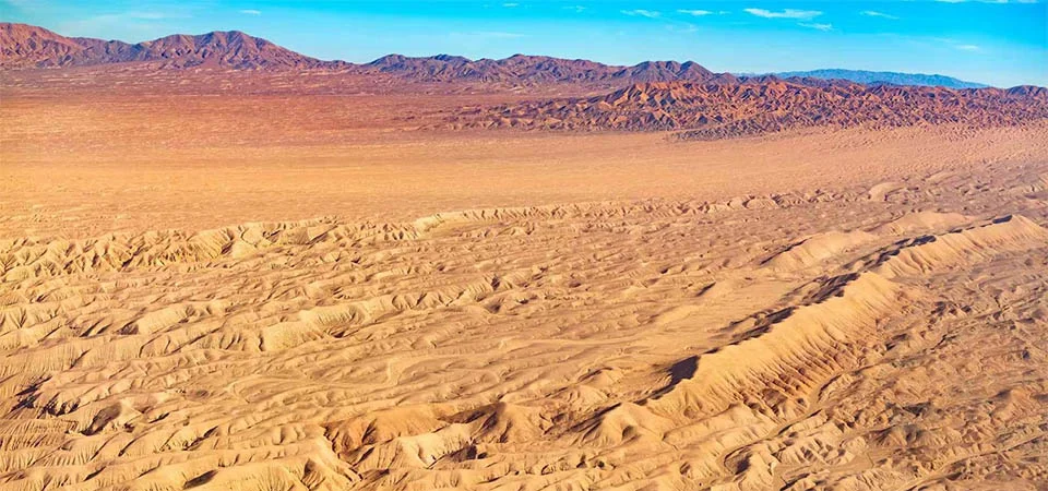 Deserto do Atacama surpreende cientistas com vida escondida no solo