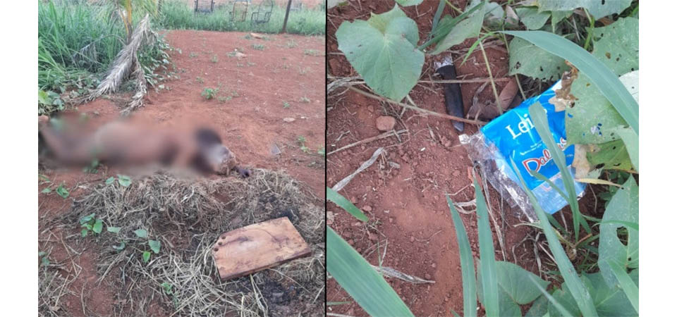 Mulher transexual é assassinada com seis facadas e pancada com pedaço de concreto