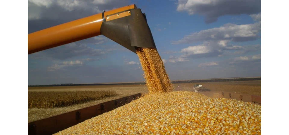 Lei do combustível do futuro deve beneficiar diretamente economia de Mato Grosso