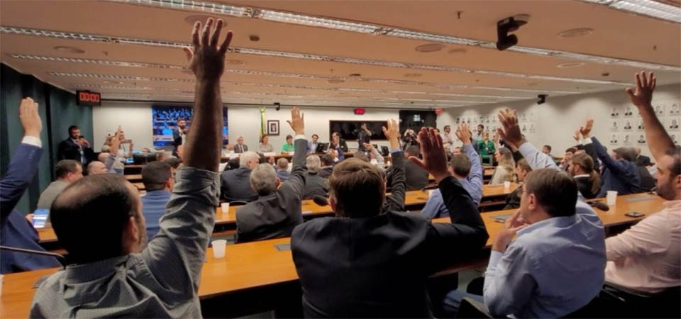 Moratória da Soja: Congresso analisa abertura de CPI Mista para investigar atuação de ONGS