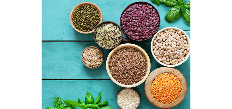 Conab aponta perspectiva com cenário positivo para milho e soja, além de novo aumento na área de arroz e feijão