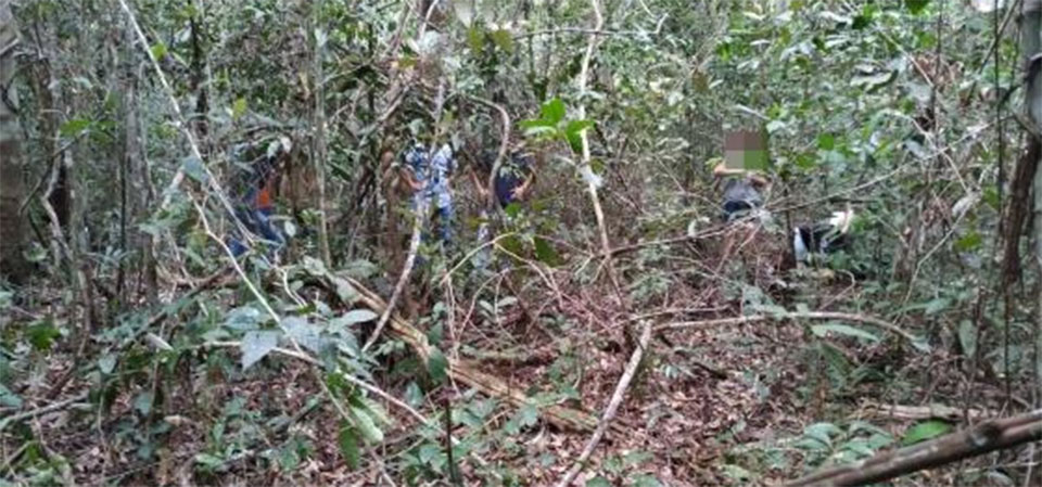 Trabalhador morre após árvore cair e bater em sua cabeça