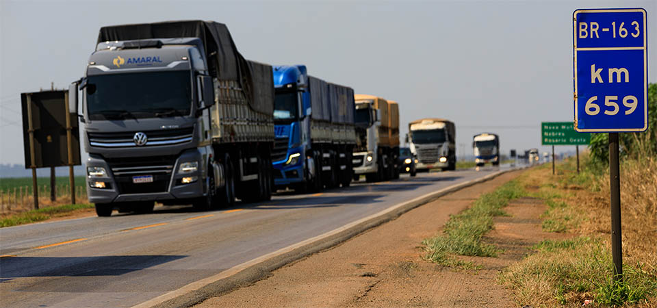 Motoristas das categorias C, D e E com exame toxicológico vencido têm até o dia 28 para regularização