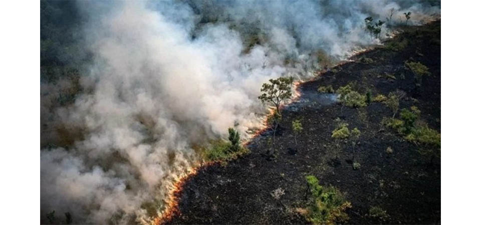 Amazônia tem pior temporada de queimadas em 17 anos