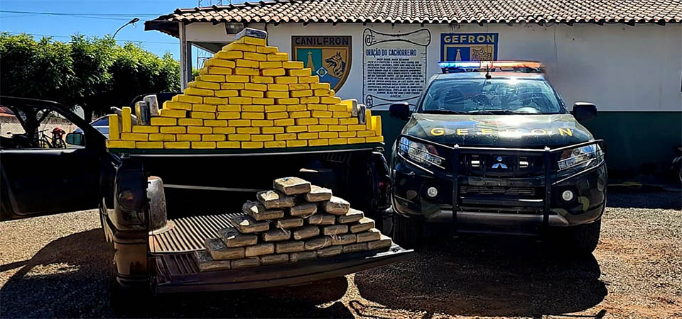 Duas pessoas morrem em colisão frontal entre caminhonetes