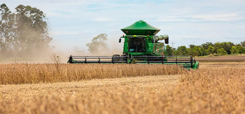 PIB de Mato Grosso cresceu três vezes mais que o do país em 2023