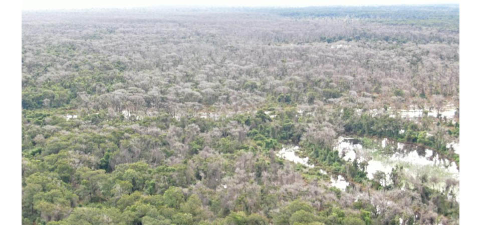 Operação Cordilheira sequestra propriedades e aplica multa de R$ 2,8 bilhões por desmate químico no Pantanal