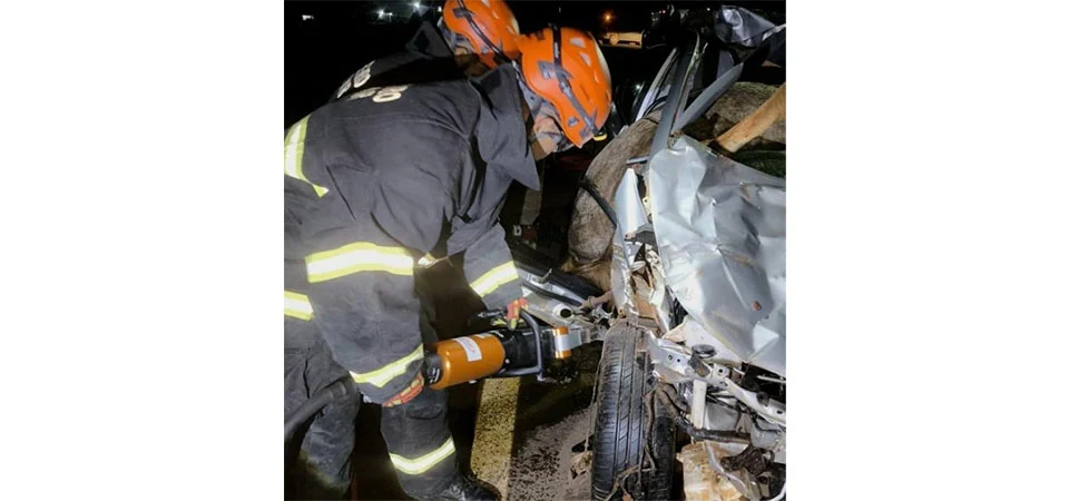 Brasnorte: Motorista morre ao atingir cavalos na MT 170