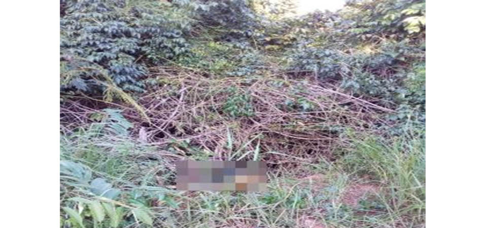 Corpo em avançado estado de decomposição é localizado na zona rural