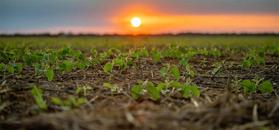 Aprosoja MT reforça a importância do uso e ocupação do solo para a sustentabilidade da agricultura