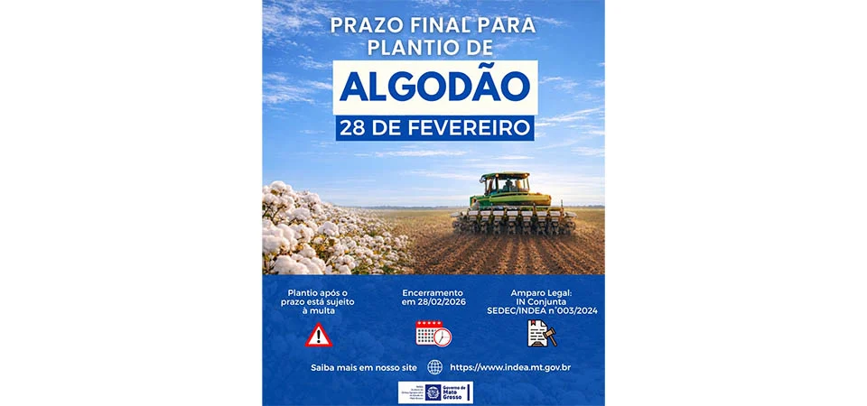 Cotonicultores de MT têm até sábado (28) para realizar plantio do algodão