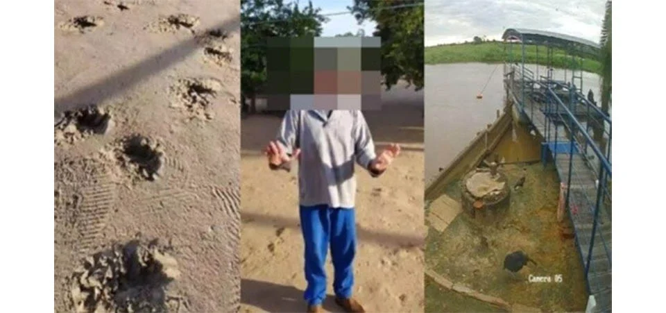 Homem morre atacado por onça em fazenda no Pantanal. Vídeo