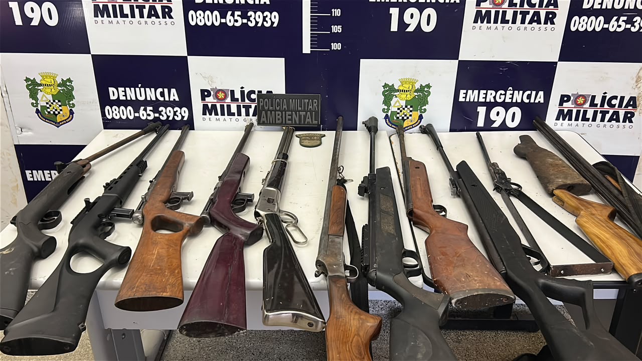 Polícia Ambiental encontra 11 armas de fogo, munições e pássaros em cativeiro