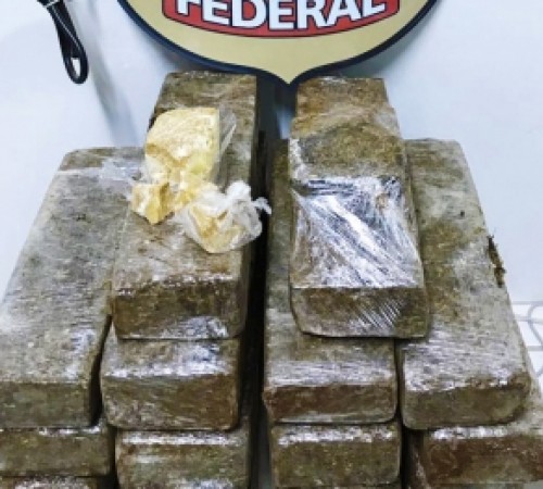 Adolescente é apreendido com 30 tabletes de maconha em ônibus; droga seria levada para Sinop