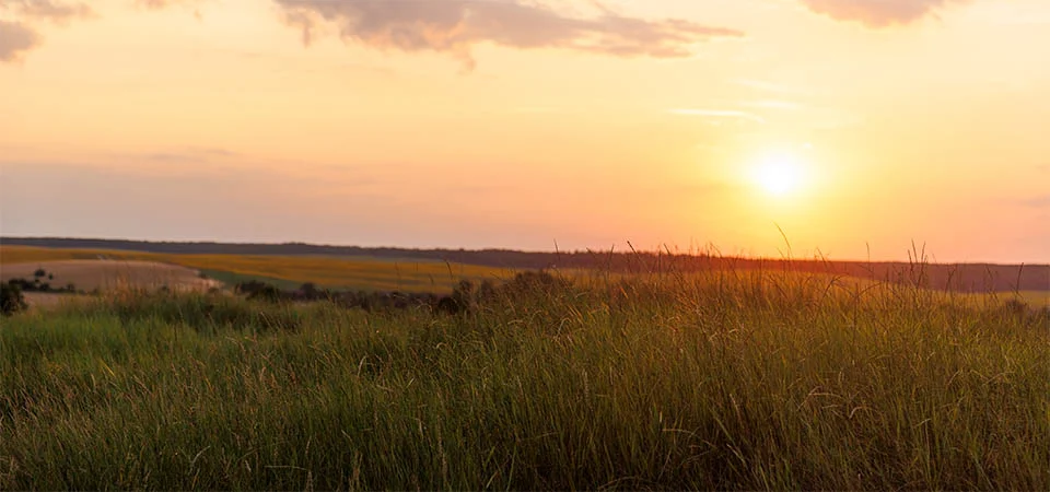 Comissão de Agricultura da Câmara aprova projeto que aprimora proteção do Direito à Propriedade