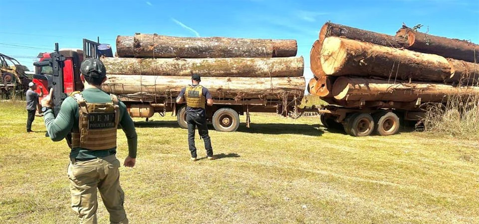 Polícia apreende caminhões de madeira ilegal e desvenda tática criminosa em Mato Grosso