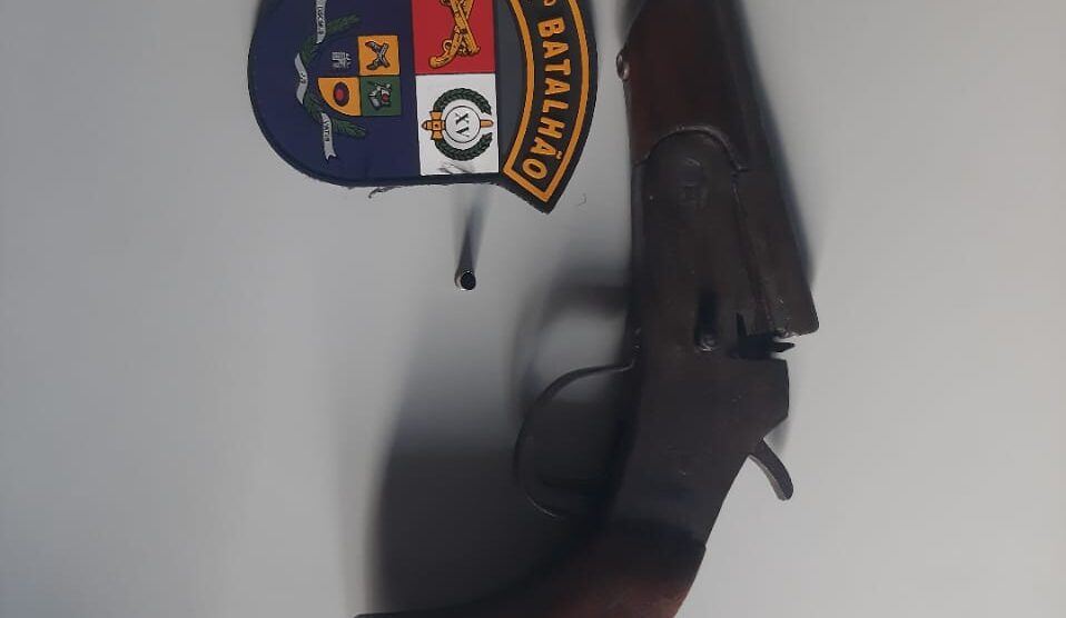 Homem atira em pitbull que escapou de residência e tentou atacar criança