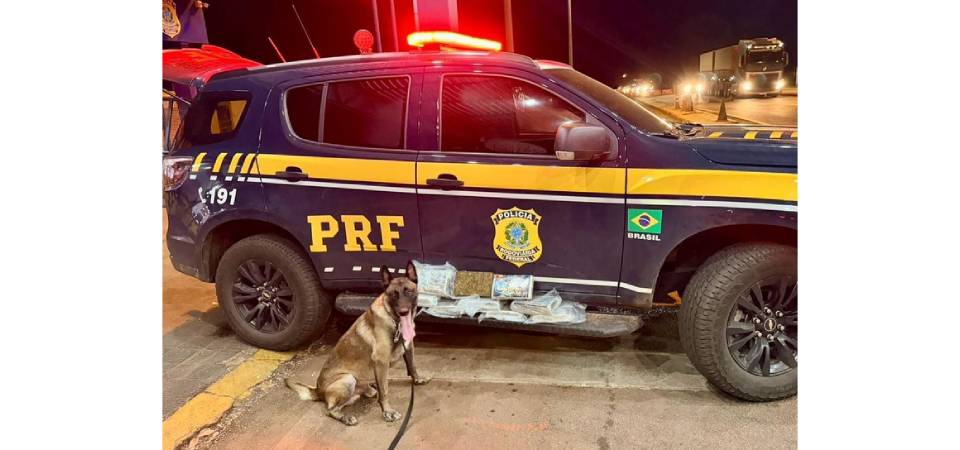 PRF apreende droga durante fiscalização na BR-364