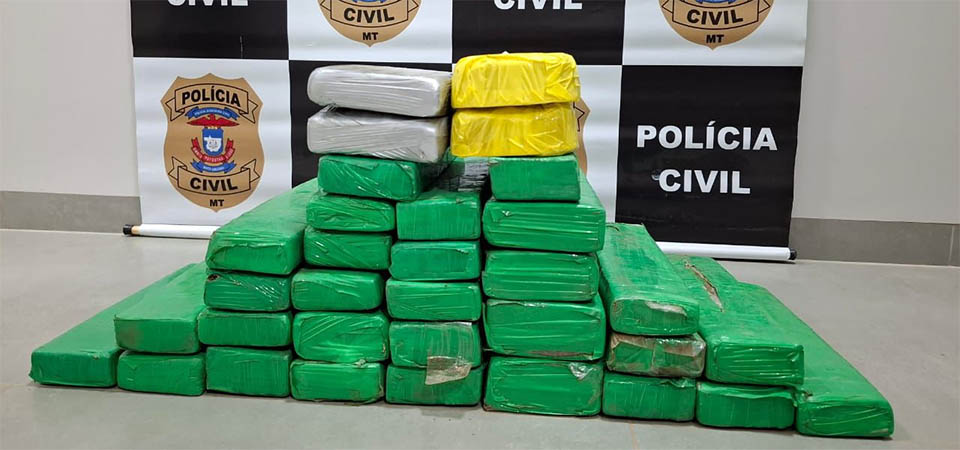 Polícia Civil apreende 32 quilos de drogas durante a Operação Status Quo