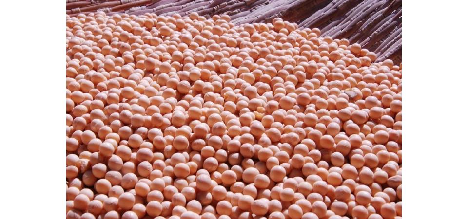 ‘O desafio desta safra não é apenas colher bem, mas, também, fechar as contas’