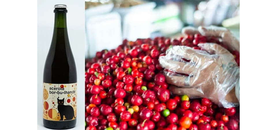 Embrapa desenvolve bebida alcoólica feita de acerola