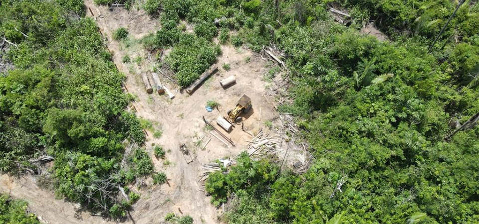 PM prende idoso, apreende maquinários e madeiras extraídas de forma irregular