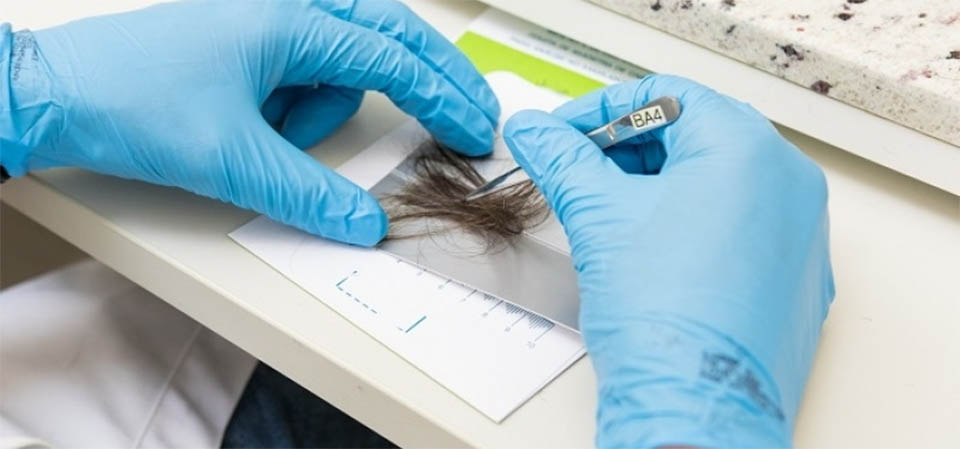 Mais de 1 milhão de motoristas perderam o prazo para realizar o exame toxicológico