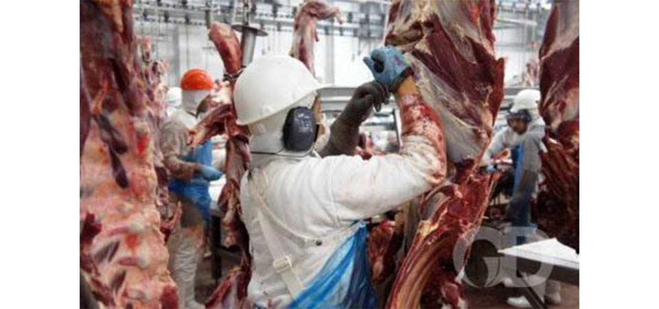 Justiça suspende atividades de abatedouro por problemas com higiene e segurança