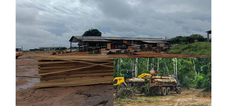 Nova Maringá: Polícia Civil fecha madeireira em continuidade a operação de combate ao desmate ilegal