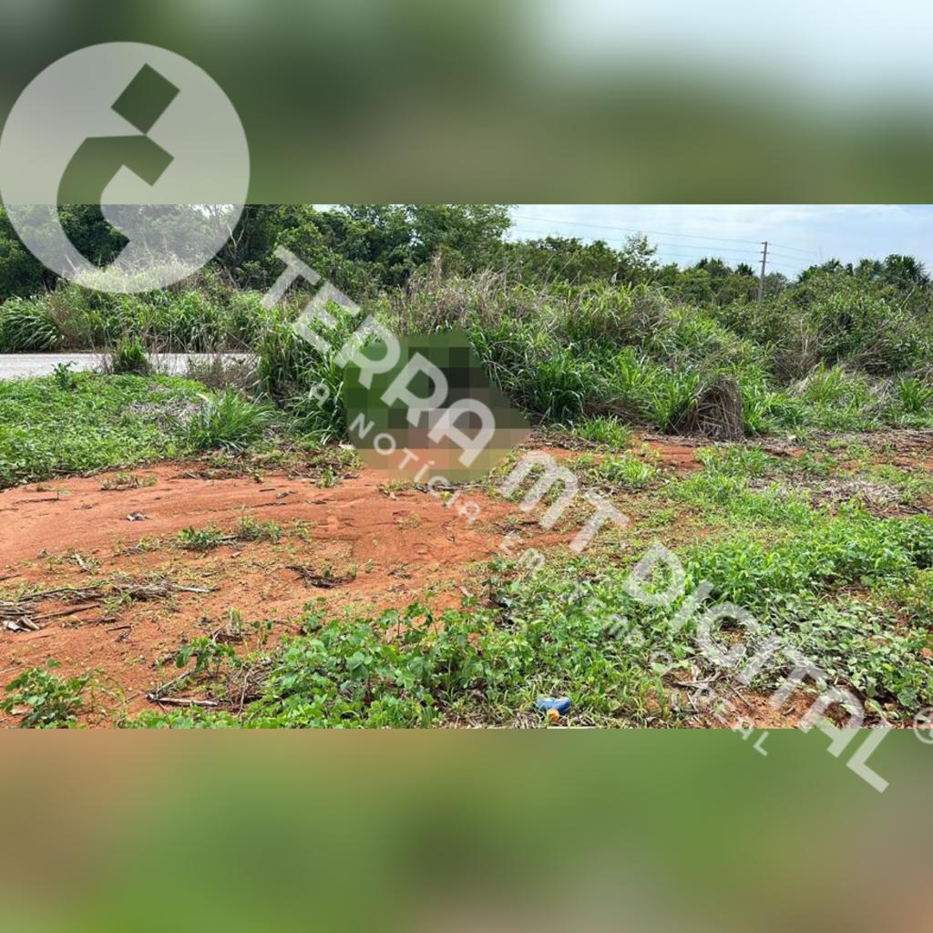 Jovem leva possível salve e é assassinado