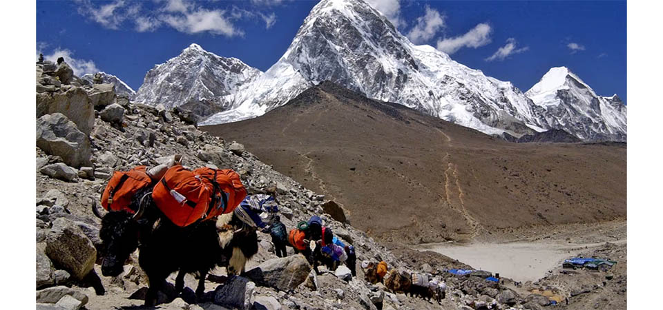 Como guias do Everest envenenavam alpinistas para aplicar fraude milionária de seguros