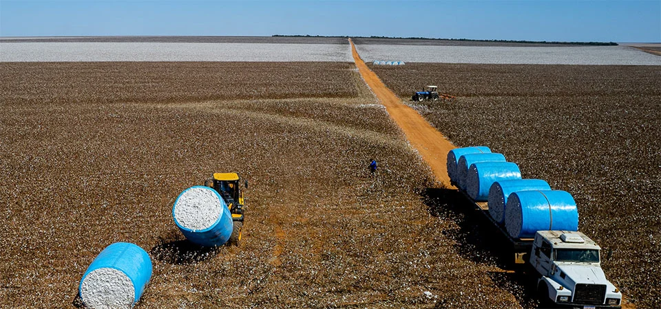 PIB de Mato Grosso registra a maior variação percentual do país e cresce mais de 1.230% em 20 anos