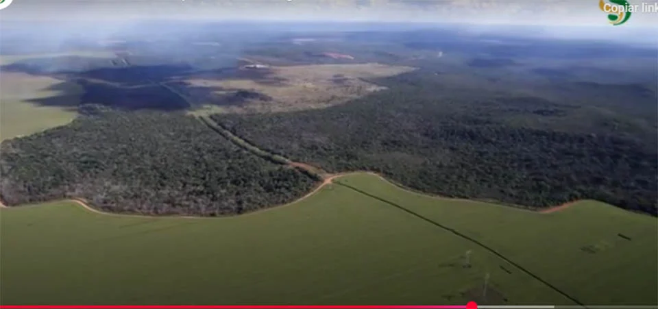 Preservar é produzir: Aprosoja MT reforça combate às queimadas. Vídeo