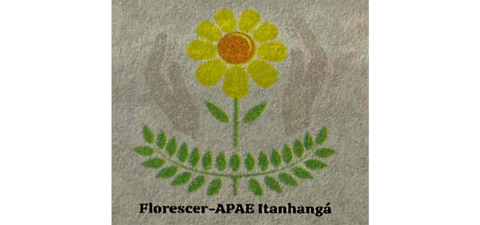 Itanhangá: APAE vai realizar Assembleia Geral Extraordinária