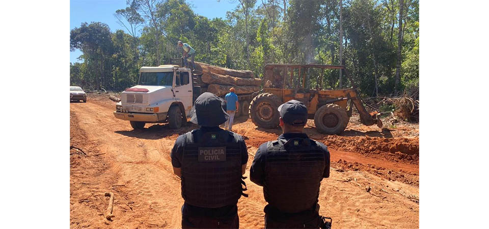 Polícia Civil deflagrou 24 operações de enfrentamento a crimes ambientais em MT