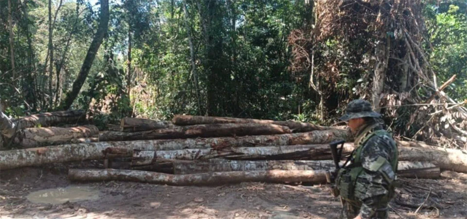 Polícia Ambiental localiza área de desmatamento ilegal