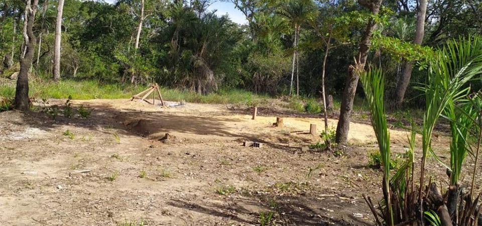 Ação integrada prende quatro pessoas envolvidas com invasão de terras