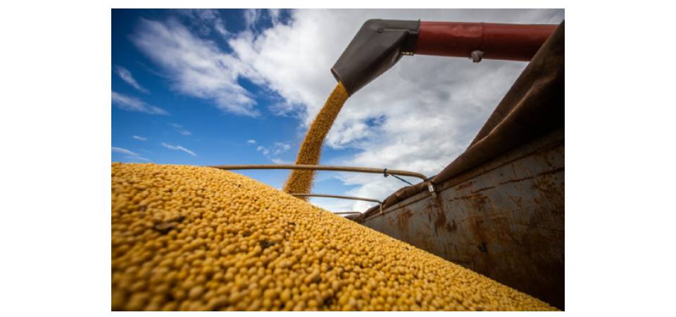 Aprosoja e Governo de MT articulam isenção de impostos para socorrer falta de armazéns no Estado