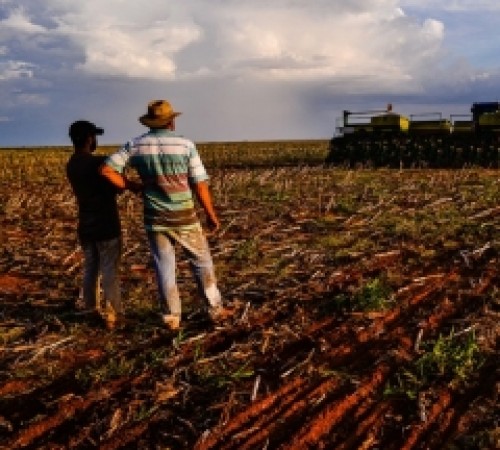 Produtores devem retificar o CAR até 02 de setembro