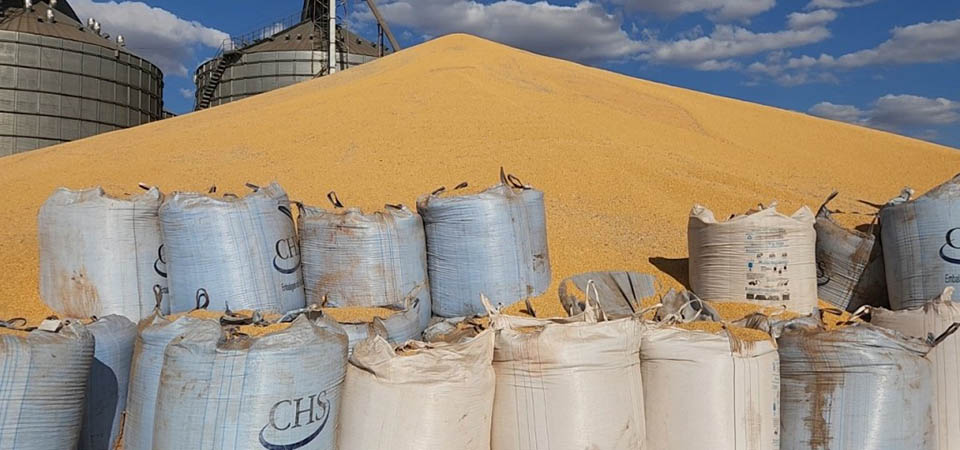 Brasil precisa investir R$ 15 bilhões em armazenamento para acabar com estoques a céu aberto