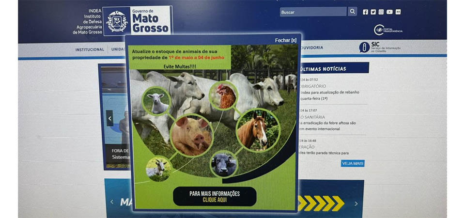 Produtores devem informar ao Indea dados detalhados de rebanhos e propriedades
