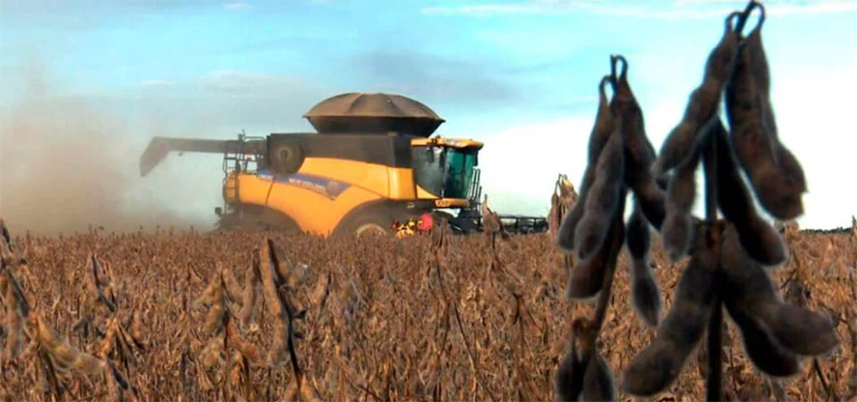 Governo de MT confirma isenção de taxa de inscrição estadual para produtores rurais
