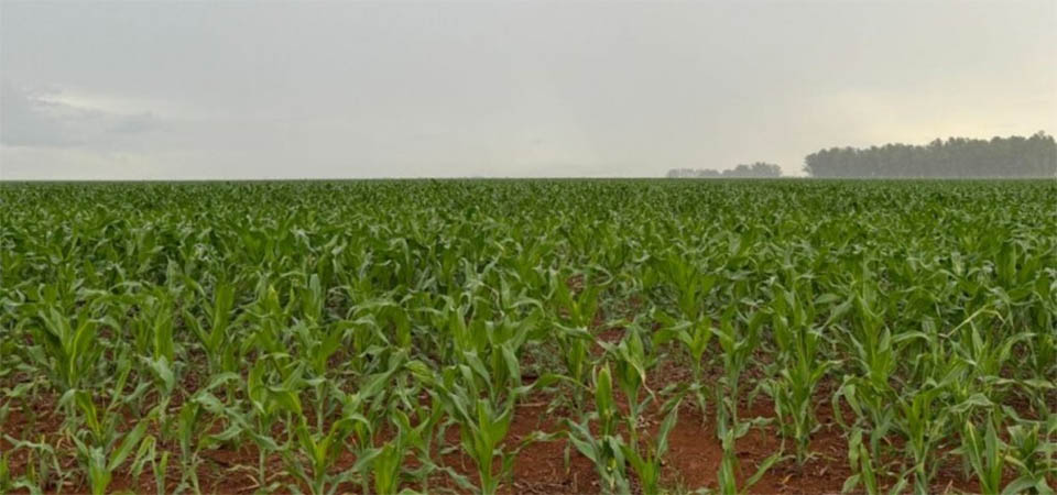 Itanhangá: Tem previsão de chuva do próximo sábado até a segunda feira