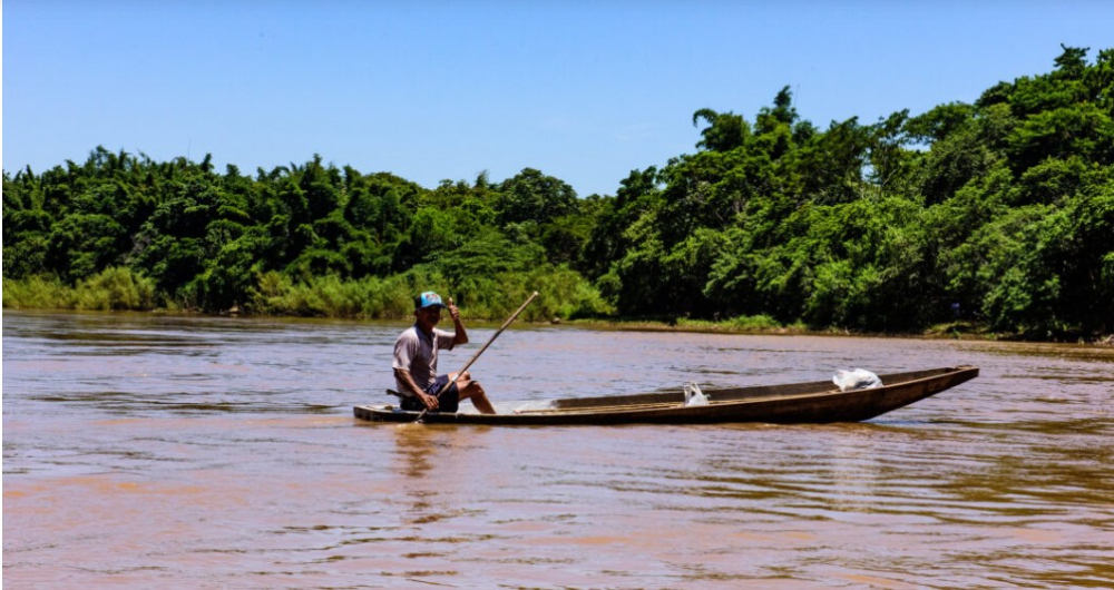 Piracema inicia, hoje quinta-feira (1) e Sema alerta sobre declaração obrigatória de peixes armazenados