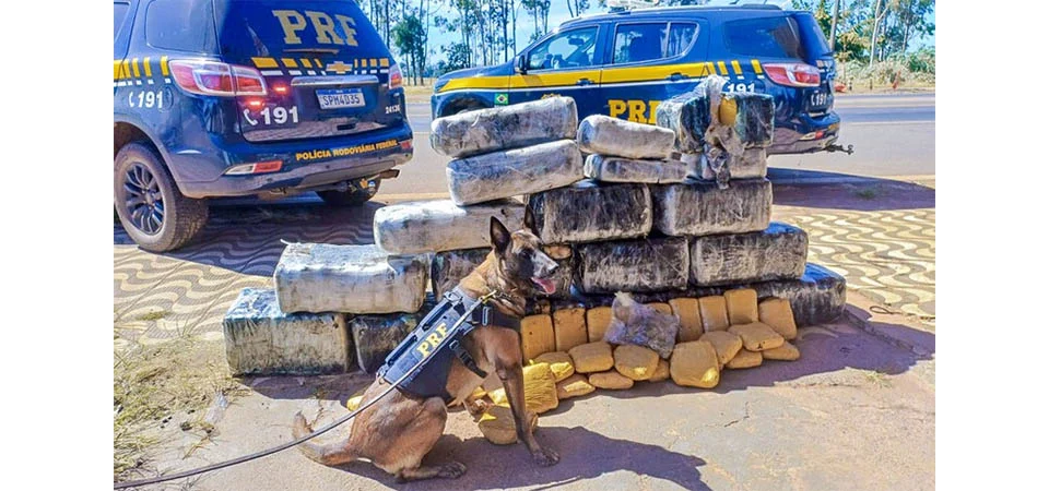 PRF Apreende Carga Milionária de SKUNK