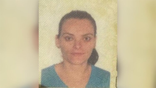 Mulher morre e 3 ficam feridos em colisão entre carretas e carro na 163