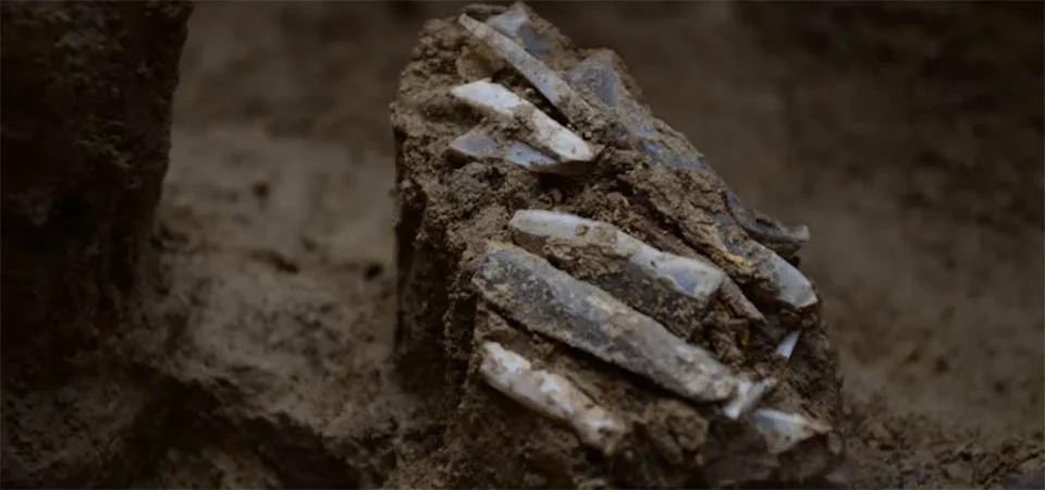 Como era a vida na Idade da Pedra? Kit de ferramentas de 30 mil anos traz novas respostas