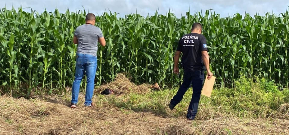 Homem é encontrado morto em milharal