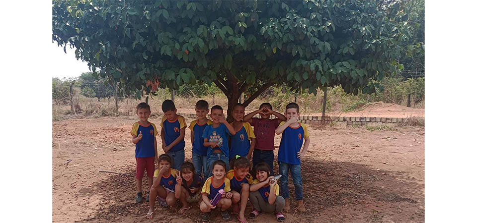 Itanhangá: Projeto que valoriza as frutas regionais é idealizado por alunos da Escola Cecília Meireles