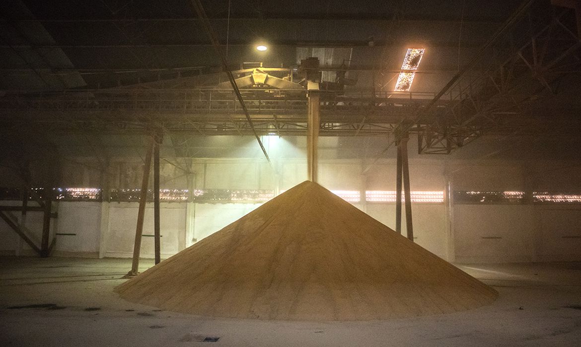 Capacidade de armazenagem agrícola subiu no 2º semestre de 2021